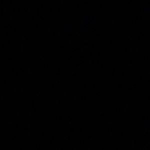 Meet your Posher, Robbie